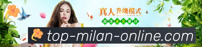 对战数据统计